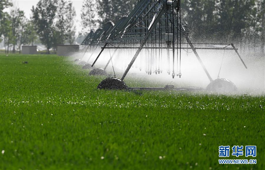 （在習(xí)近平新時代中國特色社會主義思想指引下&mdash;&mdash;新時代新作為新篇章&middot;習(xí)近平總書記關(guān)切事&middot;圖文互動）（3）新農(nóng)事、新希望&mdash;&mdash;夏收前田間新動態(tài)掃描