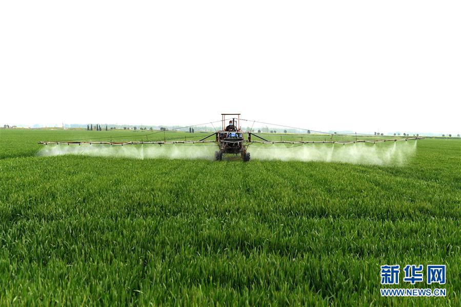 （在習(xí)近平新時代中國特色社會主義思想指引下&mdash;&mdash;新時代新作為新篇章&middot;習(xí)近平總書記關(guān)切事&middot;圖文互動）（10）新農(nóng)事、新希望&mdash;&mdash;夏收前田間新動態(tài)掃描