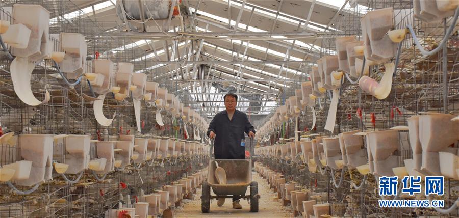 （新華全媒頭條&middot;兩會精神看落實(shí)&middot;圖文互動）（1）努力讓群眾看到變化得到實(shí)惠&mdash;&mdash;落實(shí)全國兩會精神持續(xù)保障和改善民生述評