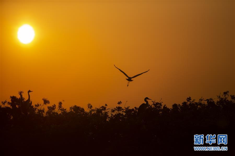（新華全媒頭條&middot;圖文互動(dòng)）（1）大湖新歌&mdash;&mdash;我國(guó)兩大淡水湖全面生態(tài)修復(fù)進(jìn)行時(shí)