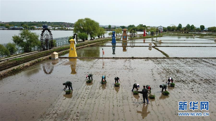 （在習(xí)近平新時(shí)代中國(guó)特色社會(huì)主義思想指引下&mdash;&mdash;新時(shí)代新作為新篇章&middot;習(xí)近平總書(shū)記關(guān)切事&middot;圖文互動(dòng)）（6）讓農(nóng)民挑上&ldquo;金扁擔(dān)&rdquo;&mdash;&mdash;農(nóng)業(yè)現(xiàn)代化的生動(dòng)實(shí)踐掃描