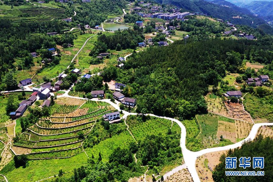 (新華全媒頭條·圖文互動(dòng))(11)待到滿山紅葉時(shí)——三峽重慶庫(kù)區(qū)踐行新發(fā)展理念面面觀