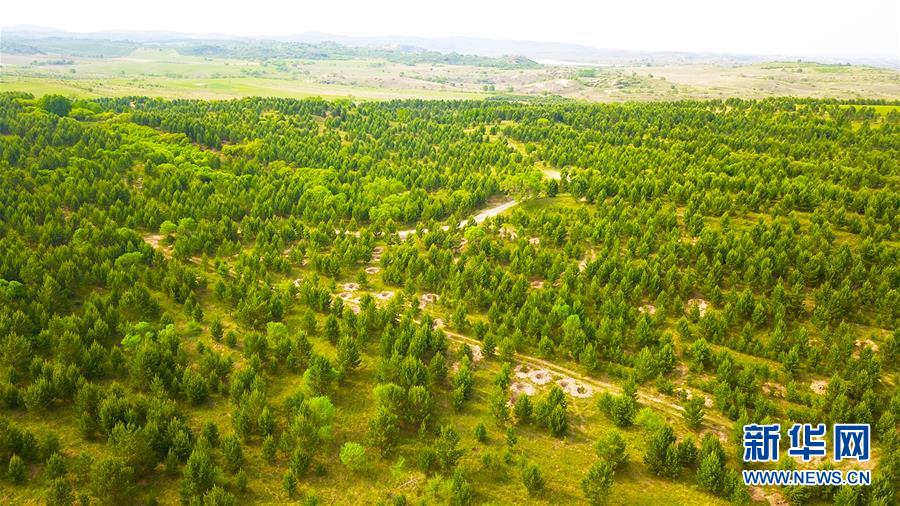 （新華全媒頭條&middot;圖文互動(dòng)）（8）京津最近&ldquo;大沙盆&rdquo;逆轉(zhuǎn)記