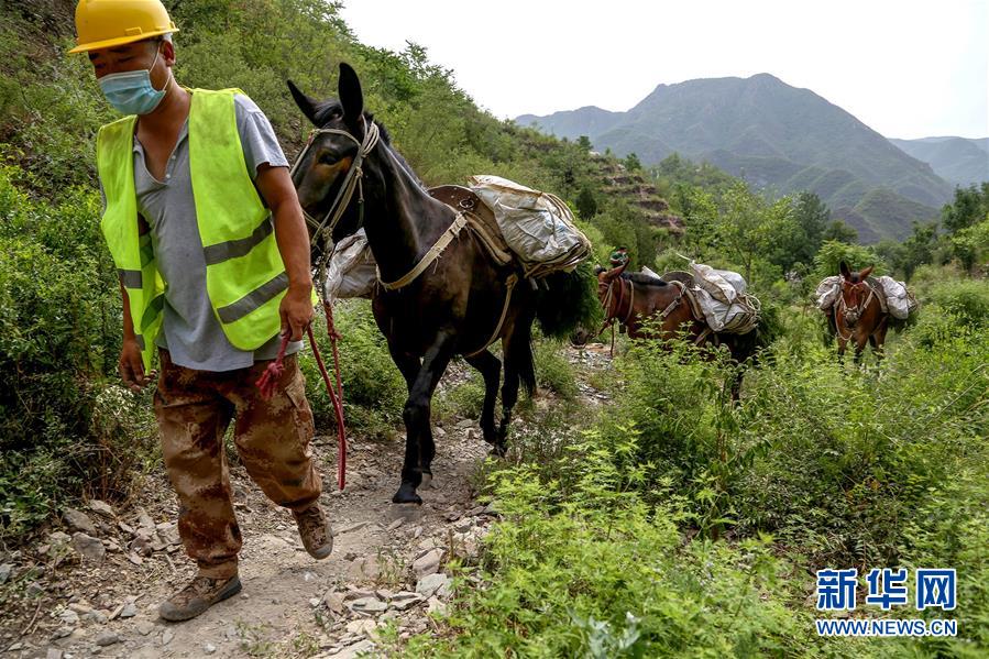 (圖文互動)(4)北京:治沙20載 逾854萬畝林海拒風(fēng)沙