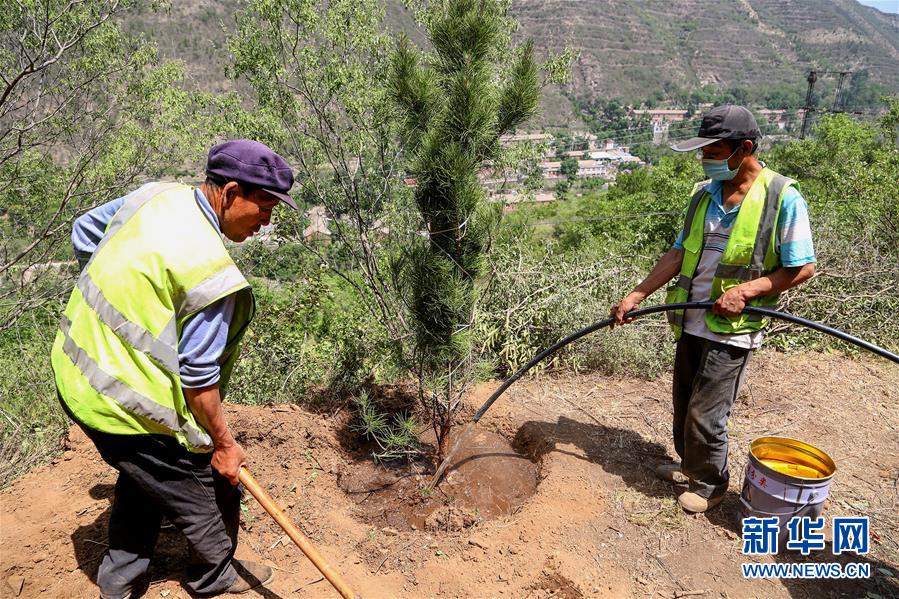 (圖文互動)(5)北京:治沙20載 逾854萬畝林海拒風(fēng)沙