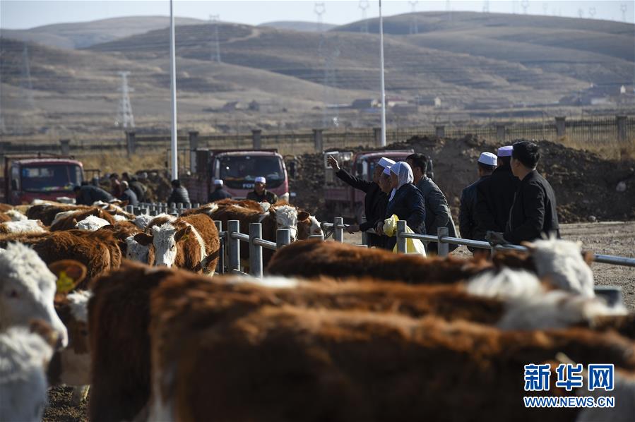 （在習(xí)近平新時(shí)代中國(guó)特色社會(huì)主義思想指引下&mdash;&mdash;新時(shí)代新作為新篇章&middot;習(xí)近平總書(shū)記關(guān)切事&middot;圖文互動(dòng)）（2）六盤(pán)山下的誓言&mdash;&mdash;來(lái)自寧夏的脫貧故事