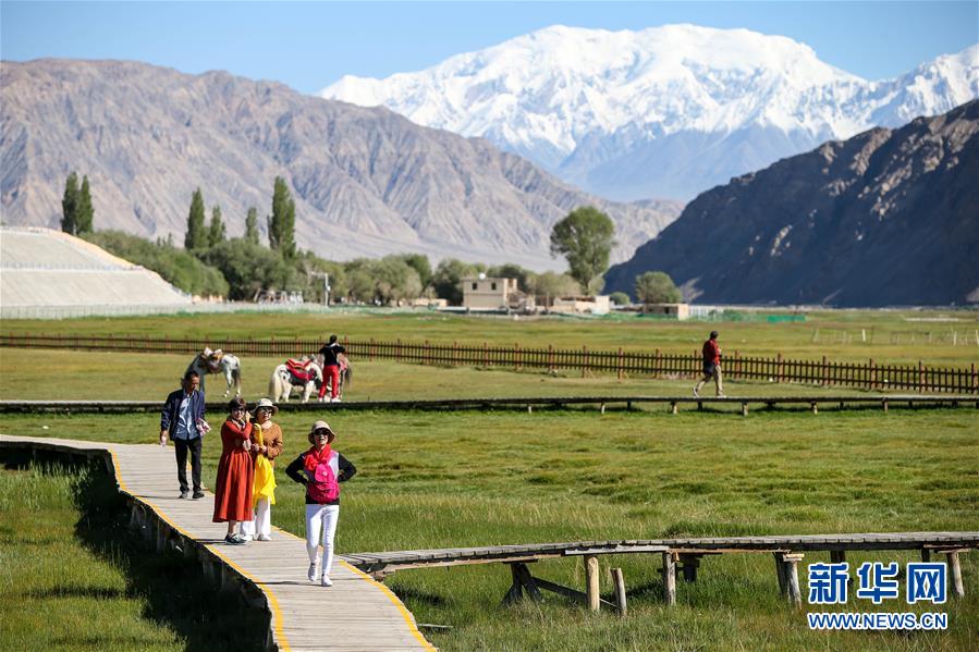 （新華全媒頭條&middot;圖文互動(dòng)）（15）飛吧，&ldquo;帕米爾雄鷹&rdquo;！