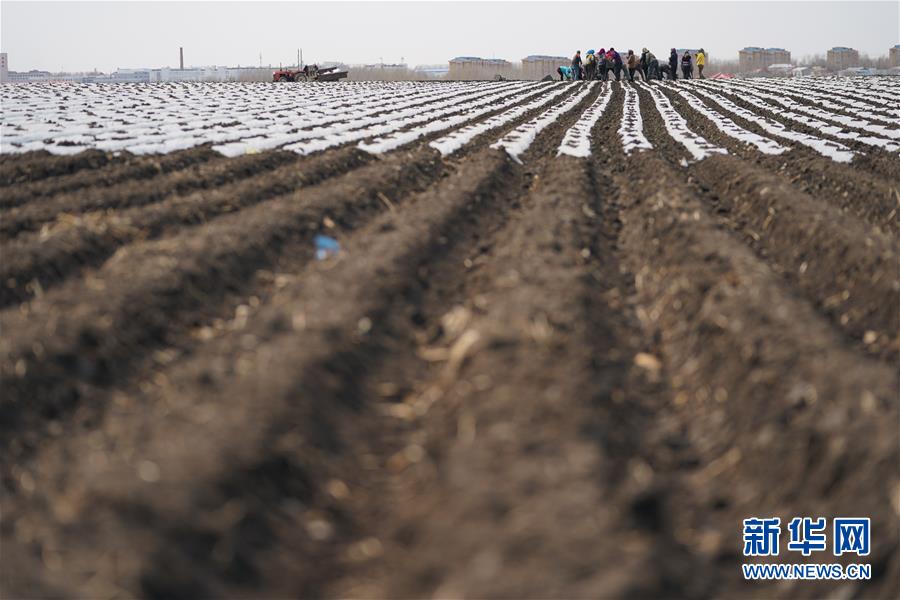 (在習(xí)近平新時(shí)代中國特色社會(huì)主義思想指引下——新時(shí)代新作為新篇章·習(xí)近平總書記關(guān)切事·圖文互動(dòng))(3)讓每一寸耕地都成為豐收的沃土——我國加強(qiáng)耕地保護(hù)推進(jìn)“藏糧于地”