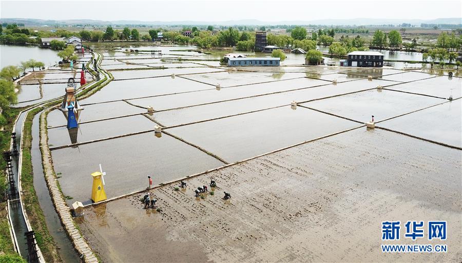 （在習(xí)近平新時代中國特色社會主義思想指引下&mdash;&mdash;新時代新作為新篇章&middot;習(xí)近平總書記關(guān)切事&middot;圖文互動）（1）讓每一寸耕地都成為豐收的沃土&mdash;&mdash;我國加強耕地保護推進&ldquo;藏糧于地&rdquo;