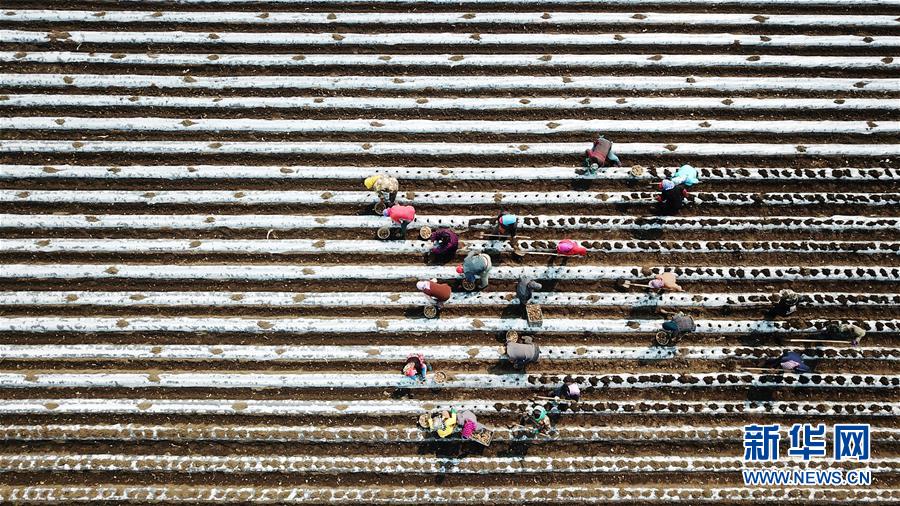 (在習(xí)近平新時代中國特色社會主義思想指引下——新時代新作為新篇章·習(xí)近平總書記關(guān)切事·圖文互動)(2)讓每一寸耕地都成為豐收的沃土——我國加強耕地保護推進(jìn)“藏糧于地”