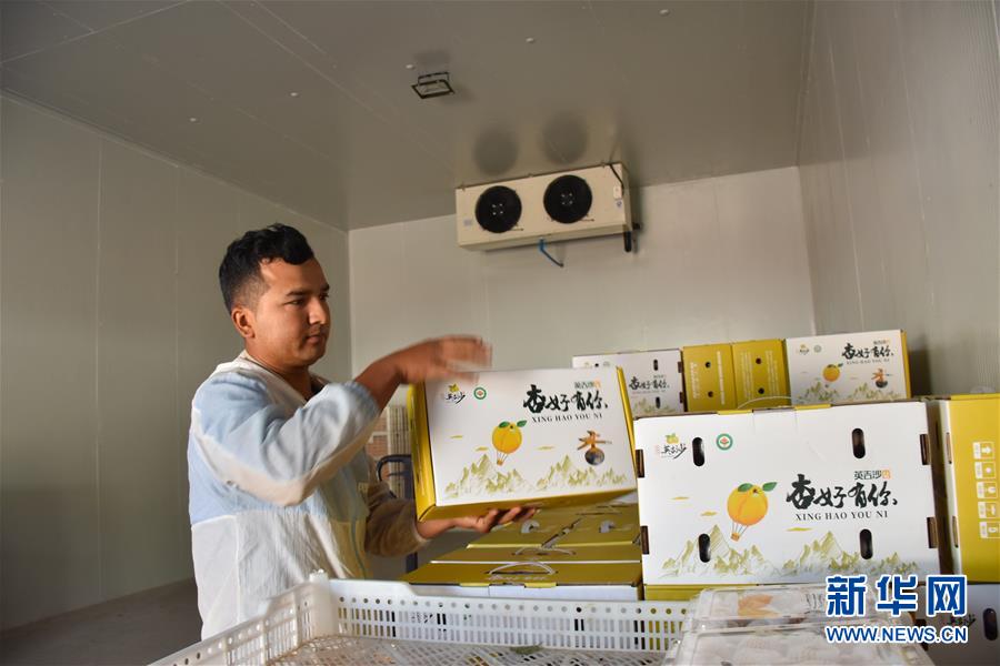 (決戰(zhàn)決勝脫貧攻堅(jiān)·圖文互動(dòng))(6)新疆“杏鄉(xiāng)”:杏果飄香 走出深閨助脫貧