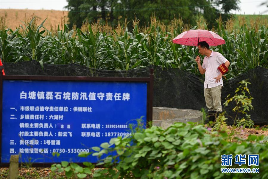 （防汛抗洪&middot;圖文互動）（1）&ldquo;險情不可怕，可怕的是不能及時發(fā)現(xiàn)險情&rdquo;&mdash;&mdash;洞庭湖巡堤查險現(xiàn)場直擊