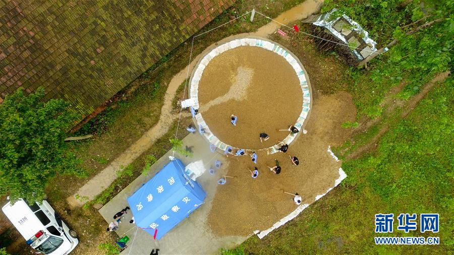 （防汛抗洪&middot;圖文互動）（2）&ldquo;險情不可怕，可怕的是不能及時發(fā)現(xiàn)險情&rdquo;&mdash;&mdash;洞庭湖巡堤查險現(xiàn)場直擊