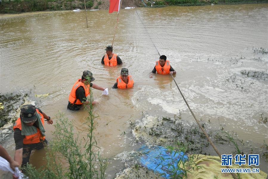 (防汛抗洪·圖文互動(dòng))(1)“大堤上有了‘導(dǎo)彈綠’,我們老百姓安了心”