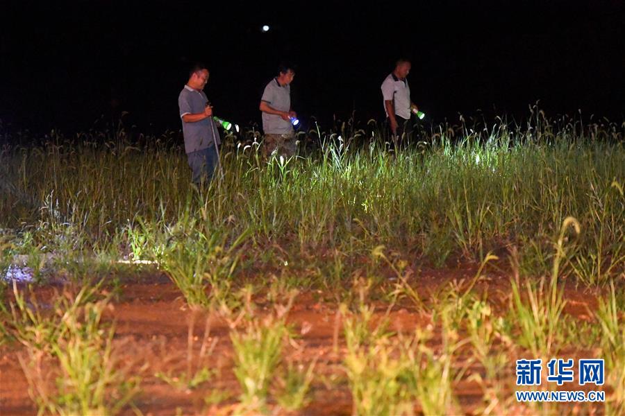 （防汛抗洪&middot;圖文互動）（2）&ldquo;保衛(wèi)家園，誰都不能是旁觀者&rdquo;&mdash;&mdash;夜訪洞庭湖大堤防汛一線