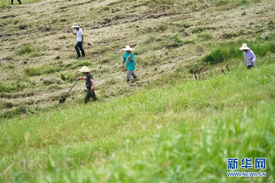 (防汛抗洪·圖文互動(dòng))(4)特寫:康山大堤上的脫貧“守堤人”