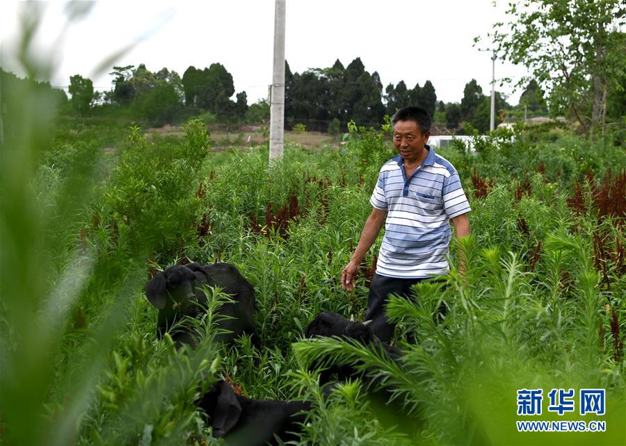 （走向我們的小康生活&middot;圖文互動(dòng)）（3）擺擺幸福鄉(xiāng)村的新鮮事兒