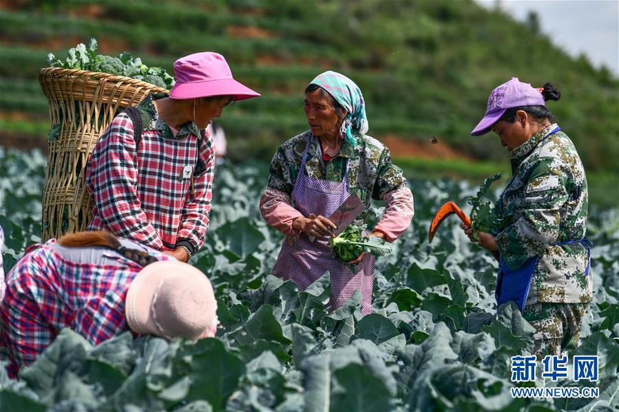 (新華全媒頭條·走向我們的小康生活·圖文互動(dòng))(10)三幅“圖鑒”說(shuō)變遷——貴州“穿越時(shí)空”的脫貧印記