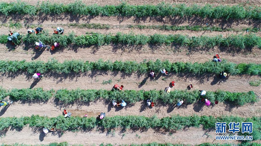 （走向我們的小康生活&middot;圖文互動(dòng)）（7）西海固換了新模樣