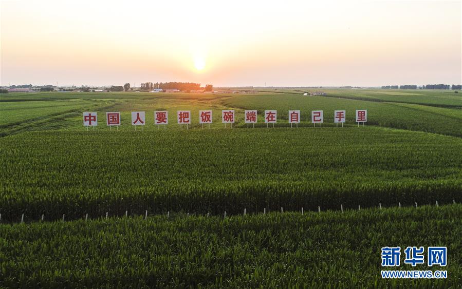 (在習近平新時代中國特色社會主義思想指引下——新時代新作為新篇章·習近平總書記關(guān)切事·圖文互動)(1)讓百姓吃得飽還要吃得好——夯實糧食安全基礎端牢中國飯碗
