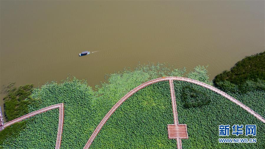 （在習(xí)近平新時(shí)代中國特色社會(huì)主義思想指引下&mdash;&mdash;新時(shí)代新作為新篇章&middot;習(xí)近平總書記關(guān)切事&middot;圖文互動(dòng)）（8）綠色映底蘊(yùn)，山水見初心&mdash;&mdash;生態(tài)優(yōu)先、綠色發(fā)展持續(xù)造福群眾美好生活