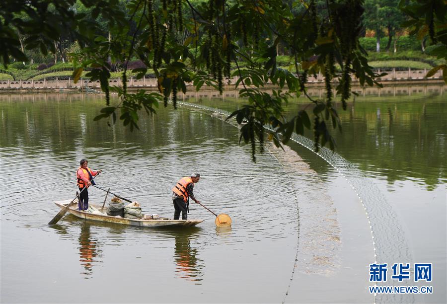 (長(zhǎng)江經(jīng)濟(jì)帶·圖文互動(dòng))(3)李代國(guó)再下河