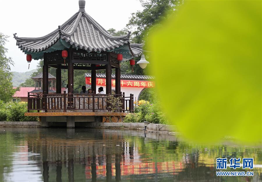 （走向我們的小康生活&middot;圖文互動）（3）從&ldquo;遼寧藍(lán)&rdquo;到&ldquo;花果山&rdquo;&mdash;&mdash;遼寧推進生態(tài)文明建設(shè)剪影