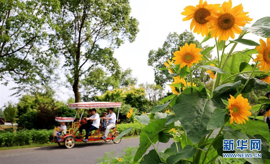 （新華全媒頭條&middot;走向我們的小康生活&middot;圖文互動）（13）城市，讓人民生活更美好