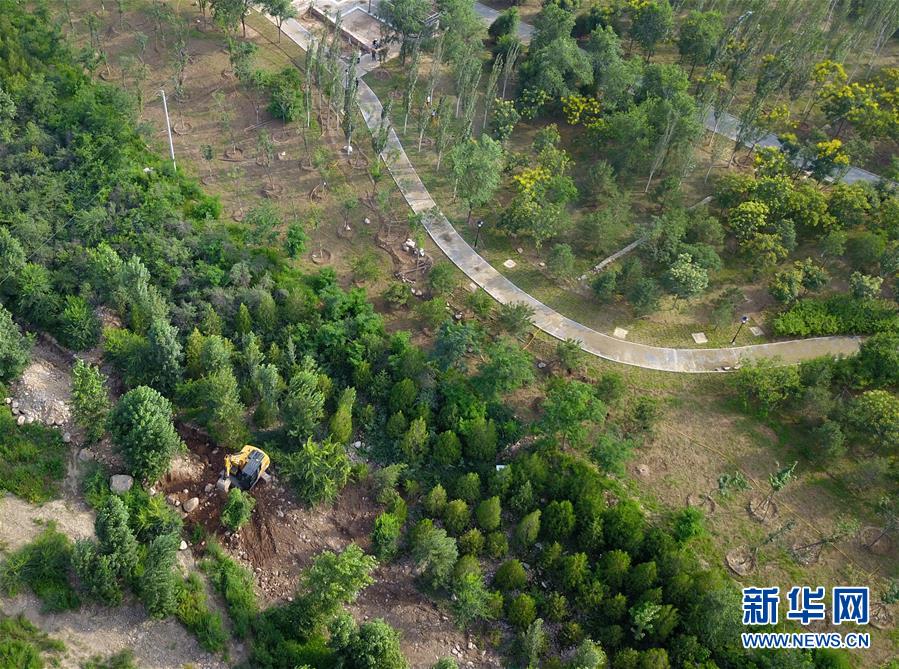 （新華全媒頭條&middot;圖文互動）（15）扎實推進籌辦，不負青春韶華&mdash;&mdash;北京冬奧會籌辦備戰(zhàn)克服疫情影響平穩(wěn)推進