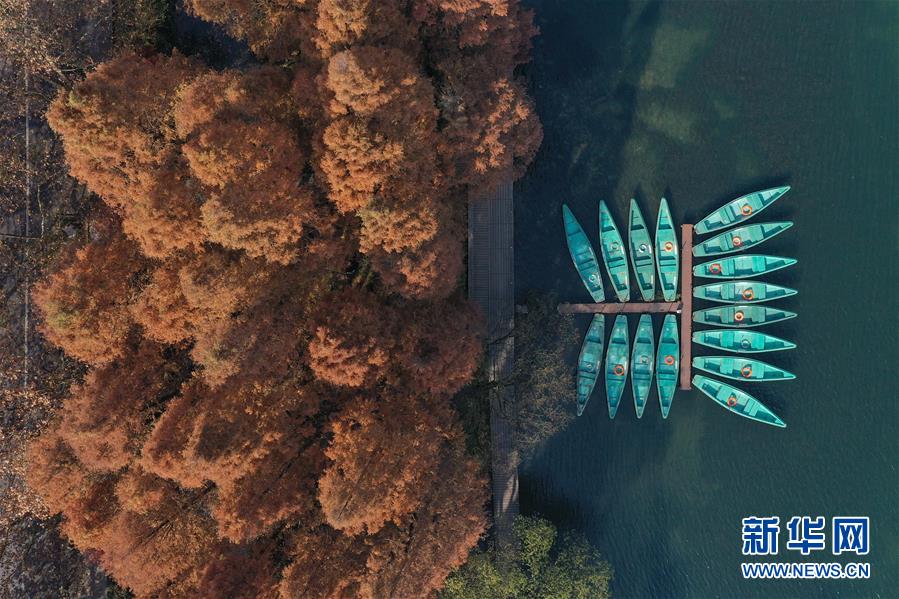 （新華全媒頭條&middot;圖文互動(dòng)）（8）錢(qián)塘今朝更繁華&mdash;&mdash;高水平小康的&ldquo;杭州答卷&rdquo;