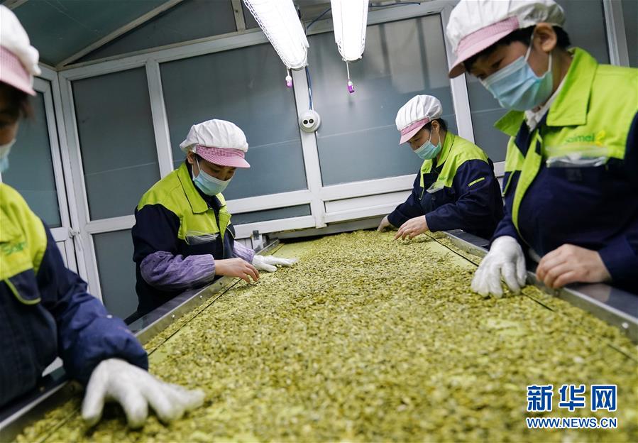 (在習近平新時代中國特色社會主義思想指引下——新時代新作為新篇章·習近平總書記關(guān)切事·圖文互動)(5)激發(fā)每個經(jīng)濟“細胞”的活力——千方百計把市場主體保護好