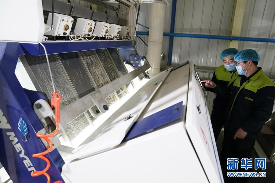 (在習近平新時代中國特色社會主義思想指引下——新時代新作為新篇章·習近平總書記關(guān)切事·圖文互動)(6)激發(fā)每個經(jīng)濟“細胞”的活力——千方百計把市場主體保護好