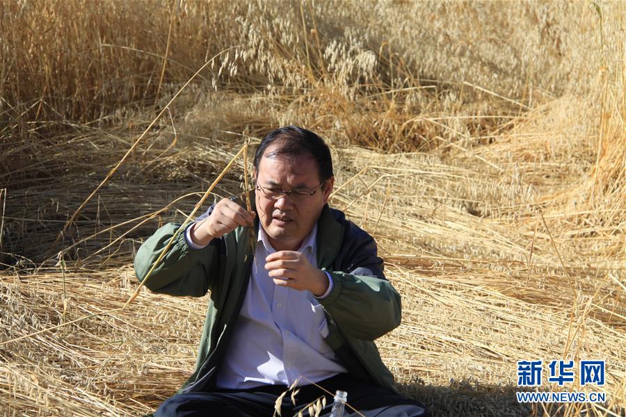 (新時代擔(dān)當(dāng)作為典型·圖文互動)(1)草地生態(tài)專家趙新全:情深不舍三江源