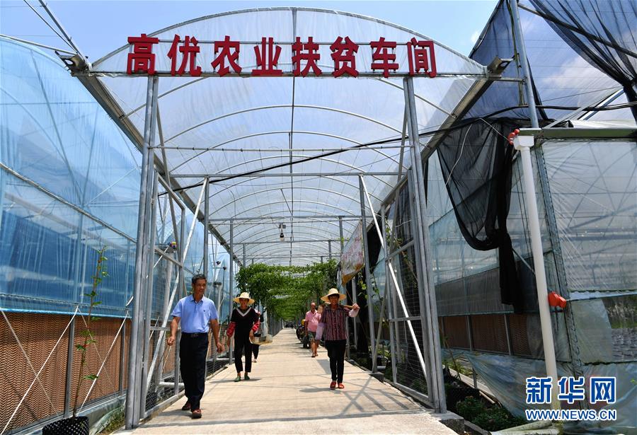 （走向我們的小康生活&middot;圖文互動）（3）&ldquo;紅土地&rdquo;越來越紅火&mdash;&mdash;福建老區(qū)蘇區(qū)發(fā)展新貌掠影