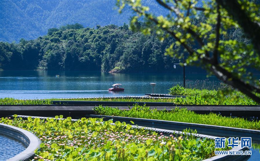 （新華全媒頭條&middot;圖文互動(dòng)）（8）生態(tài)文明之光照耀美麗中國(guó)&mdash;&mdash;寫(xiě)在綠水青山就是金山銀山理念提出15周年之際