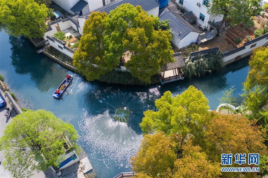 （新華全媒頭條&middot;圖文互動(dòng)）（12）生態(tài)文明之光照耀美麗中國(guó)&mdash;&mdash;寫(xiě)在綠水青山就是金山銀山理念提出15周年之際