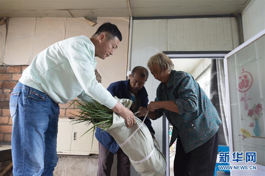 (決戰(zhàn)決勝脫貧攻堅·圖文互動)(5)老張的菜園