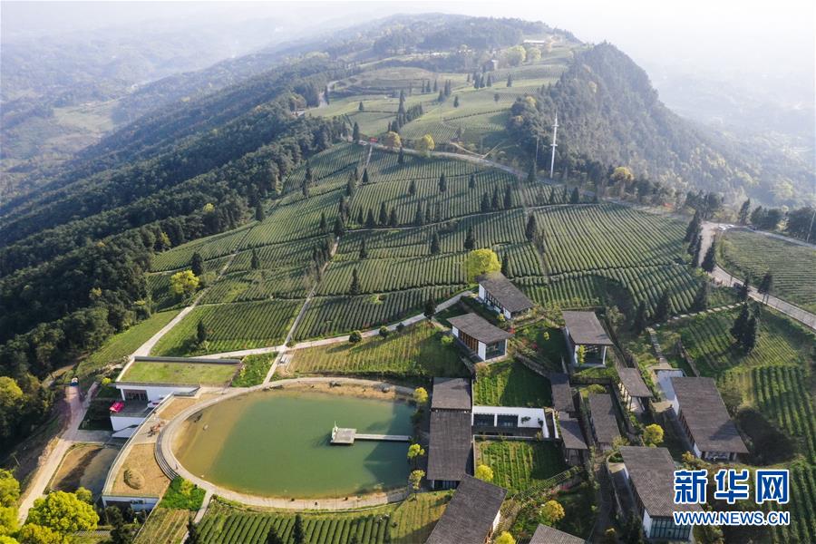 （新華全媒頭條&middot;走向我們的小康生活&middot;圖文互動）（3）大城大鄉(xiāng)的&ldquo;幸福協奏曲&rdquo;&mdash;&mdash;重慶推動高質量發(fā)展創(chuàng)造高品質生活紀事