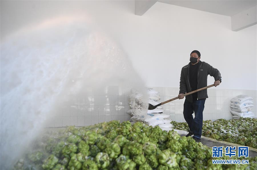 （新華全媒頭條&middot;走向我們的小康生活&middot;圖文互動）（6）大城大鄉(xiāng)的&ldquo;幸福協奏曲&rdquo;&mdash;&mdash;重慶推動高質量發(fā)展創(chuàng)造高品質生活紀事