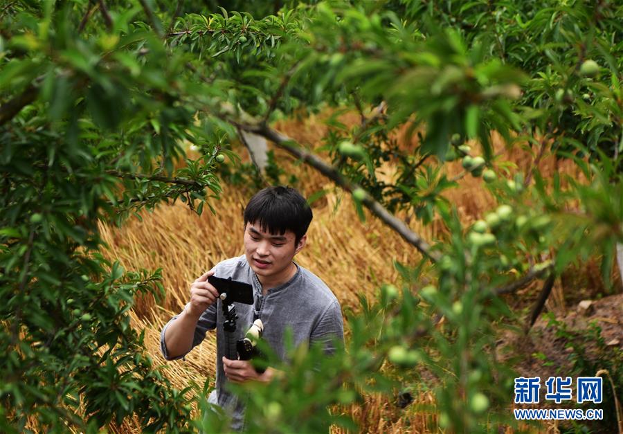 （新華全媒頭條&middot;走向我們的小康生活&middot;圖文互動）（8）大城大鄉(xiāng)的&ldquo;幸福協奏曲&rdquo;&mdash;&mdash;重慶推動高質量發(fā)展創(chuàng)造高品質生活紀事