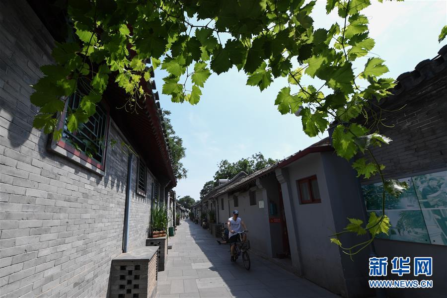 （走向我們的小康生活&middot;圖文互動）（1）小橋、流水、書香、人家&mdash;&mdash;老北京胡同里的恬靜棲居