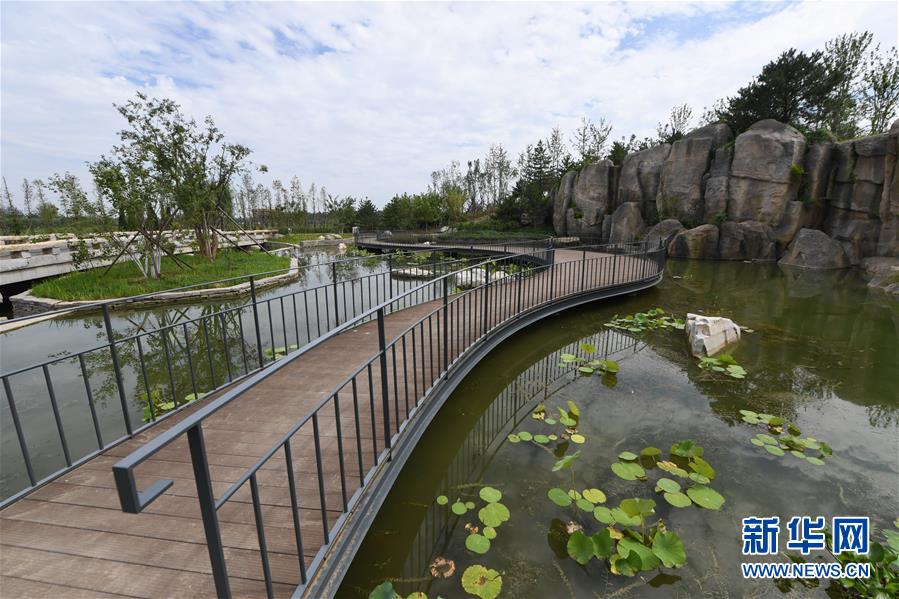 (新華全媒頭條·走向我們的小康生活·圖文互動)(2)“繡”出古都新生活——城市精細(xì)化治理的北京探索