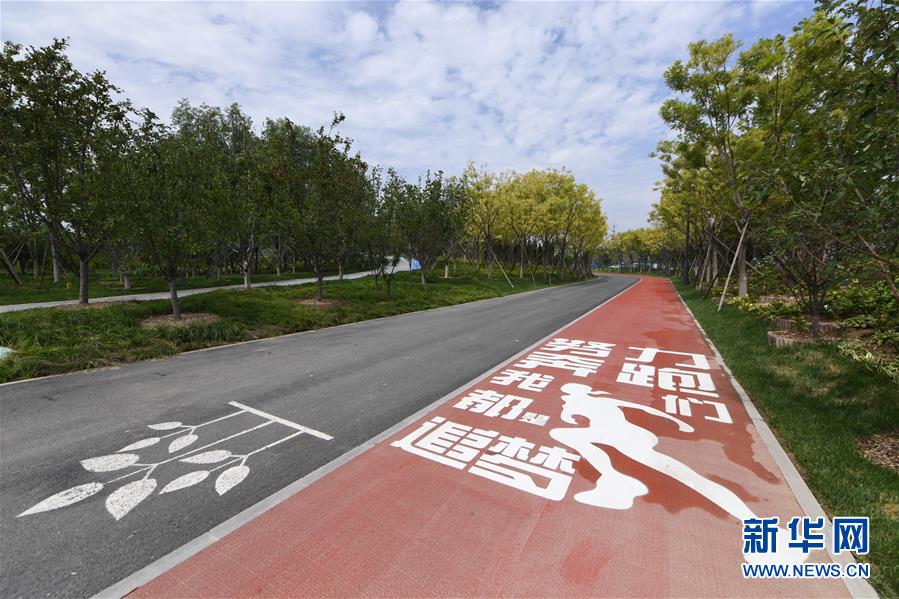 (新華全媒頭條·圖文互動)(3)“繡”出古都新生活——城市精細(xì)化治理的北京探索