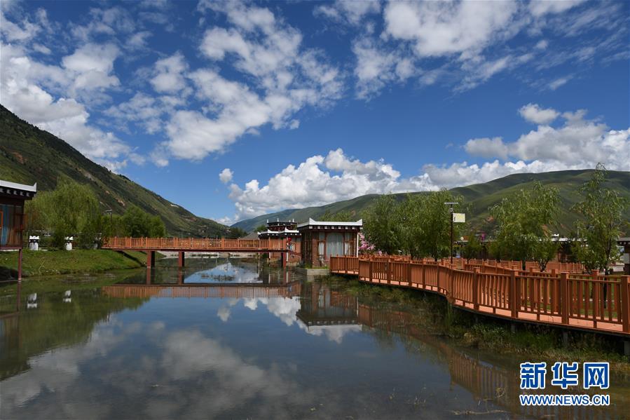 （鄉(xiāng)村振興&middot;圖文互動(dòng)）（1）村里來(lái)了位&ldquo;掏糞書(shū)記&rdquo;