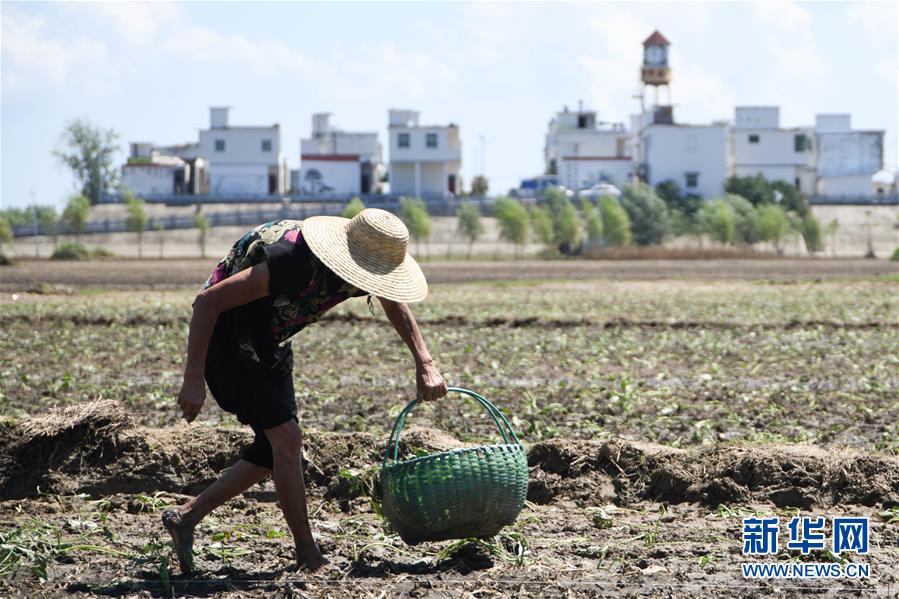 (在習(xí)近平新時代中國特色社會主義思想指引下——新時代新作為新篇章·習(xí)近平總書記關(guān)切事·圖文互動)(1)一切為了人民——寫在全國防汛救災(zāi)取得階段性重大勝利之時