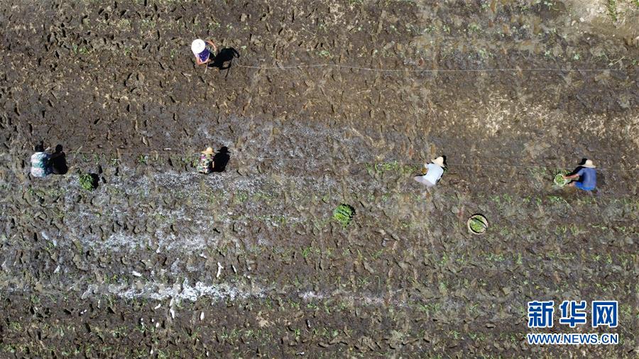 (在習(xí)近平新時代中國特色社會主義思想指引下——新時代新作為新篇章·習(xí)近平總書記關(guān)切事·圖文互動)(8)一切為了人民——寫在全國防汛救災(zāi)取得階段性重大勝利之時