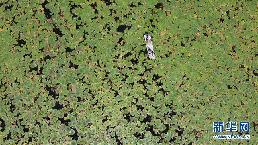 (在習(xí)近平新時代中國特色社會主義思想指引下——新時代新作為新篇章·習(xí)近平總書記關(guān)切事·圖文互動)(12)一切為了人民——寫在全國防汛救災(zāi)取得階段性重大勝利之時