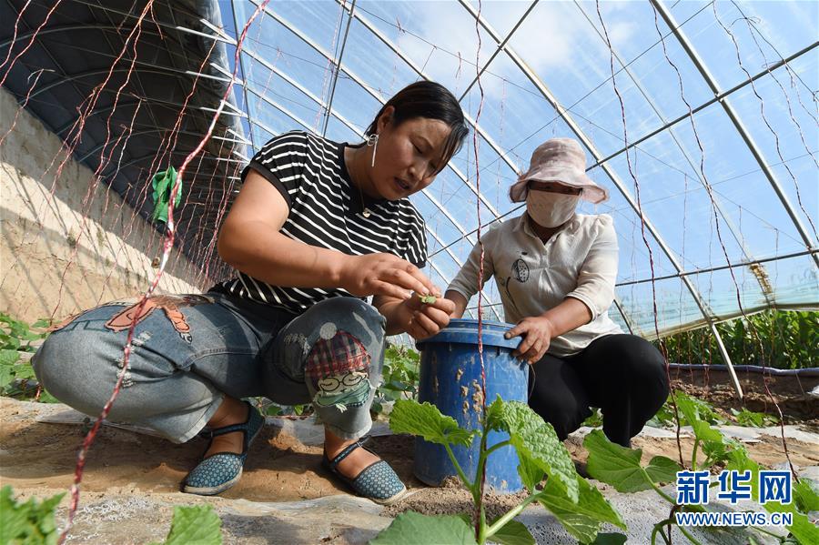 （新華全媒頭條&middot;走向我們的小康生活&middot;圖文互動(dòng)）（5）&ldquo;苦甲&rdquo;不再，&ldquo;甘味&rdquo;綿長(zhǎng)&mdash;&mdash;脫貧攻堅(jiān)的甘肅味道