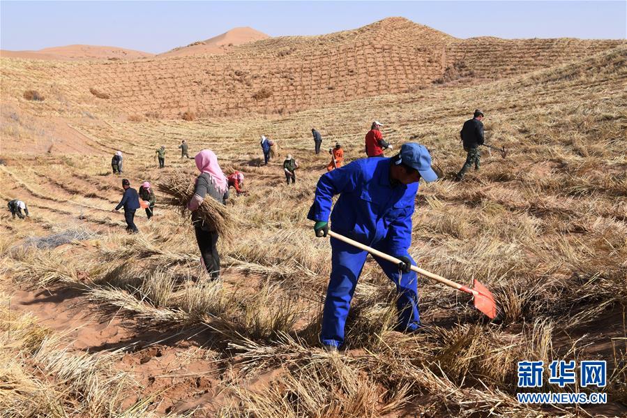 （新華全媒頭條&middot;走向我們的小康生活&middot;圖文互動(dòng)）（6）&ldquo;苦甲&rdquo;不再，&ldquo;甘味&rdquo;綿長(zhǎng)&mdash;&mdash;脫貧攻堅(jiān)的甘肅味道