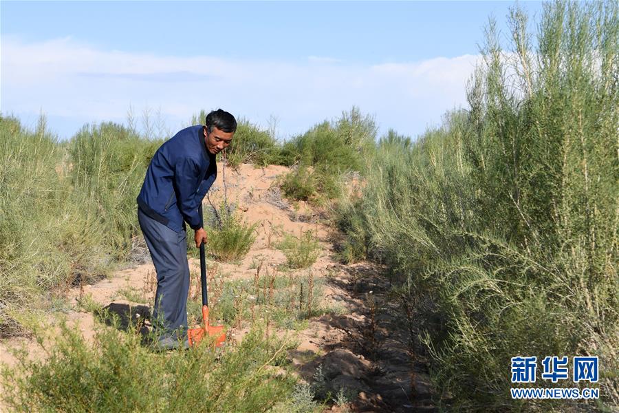 （新華全媒頭條&middot;走向我們的小康生活&middot;圖文互動(dòng)）（8）&ldquo;苦甲&rdquo;不再，&ldquo;甘味&rdquo;綿長(zhǎng)&mdash;&mdash;脫貧攻堅(jiān)的甘肅味道